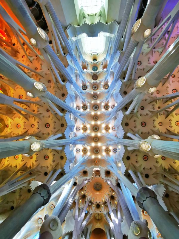 The Stunning Ceiling inside the Sagrada Famila