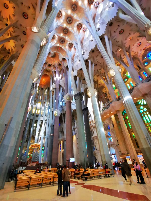 Tree-Like Columns Strech up to the Ceiling Inside La Sagrada Familia